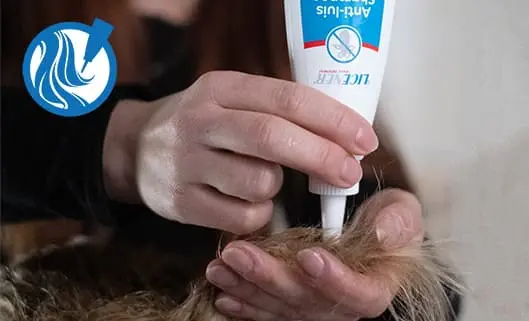 STAP 1: Breng Licener aan op droog haar. Masseer de shampoo goed in om al het haar vanaf de hoofdhuid tot in de puntjes te bedekken